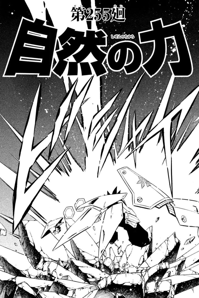 SHAMAN KING ～シャーマンキング～ KC完結版 第255話 - Trang 3