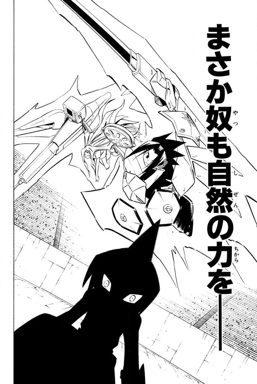 SHAMAN KING ～シャーマンキング～ KC完結版 第256話 - Trang 12