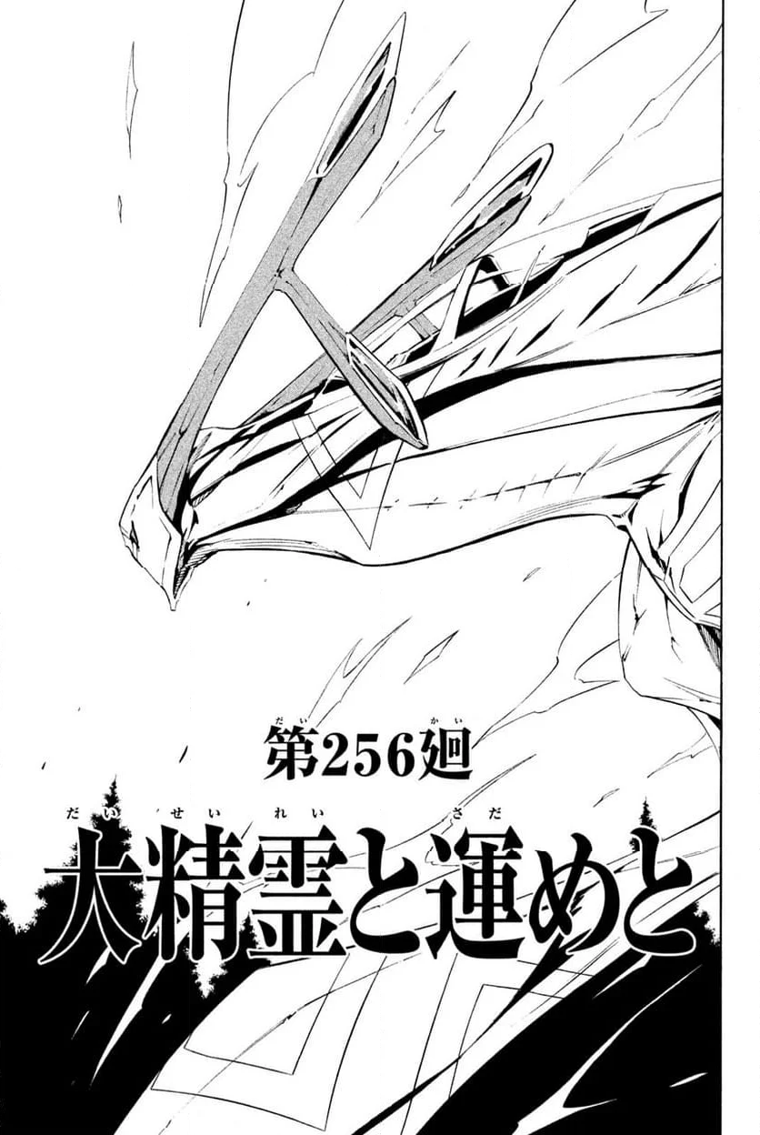 SHAMAN KING ～シャーマンキング～ KC完結版 第256話 - Trang 3