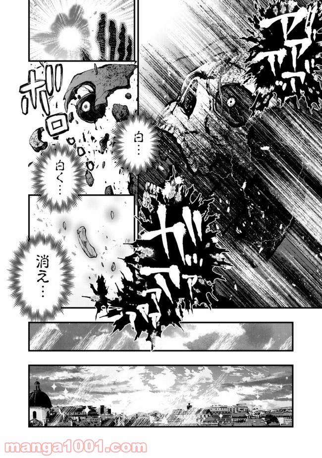 白魔法師は支援職ではありません 第11.2話 - Trang 8