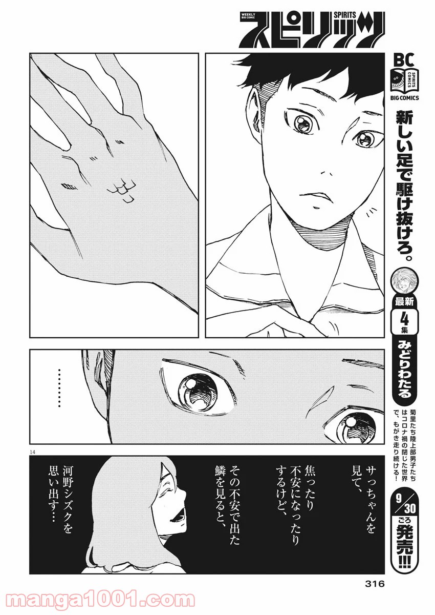 パッカ - 第22話 - Page 14