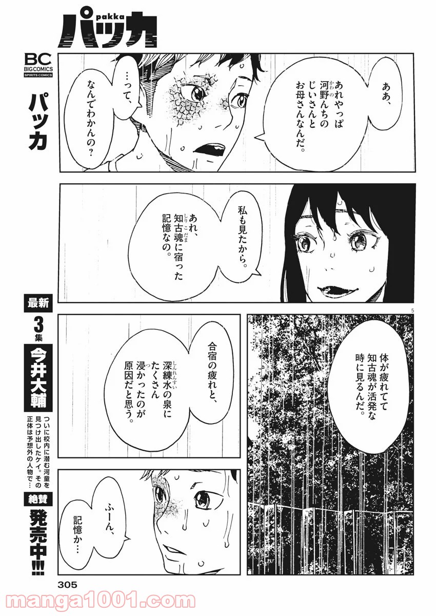 パッカ - 第34話 - Page 5