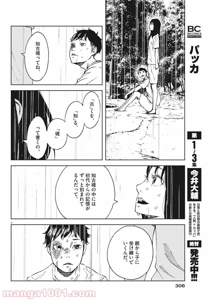 パッカ - 第34話 - Page 6