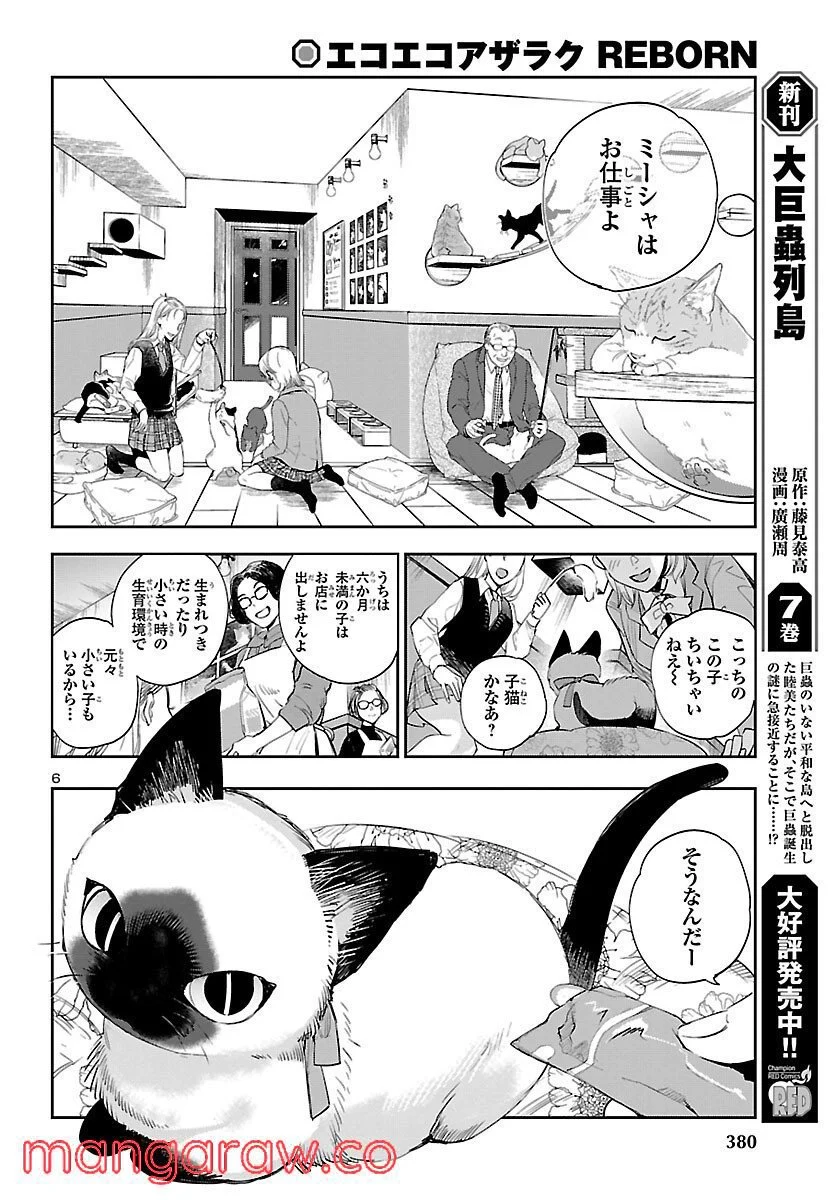 エコエコアザラク REBORN - 第21話 - Page 6