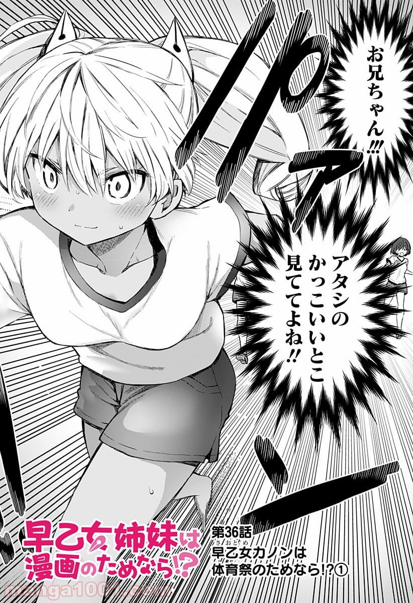 早乙女姉妹は漫画のためなら!? 第36話 - Trang 2