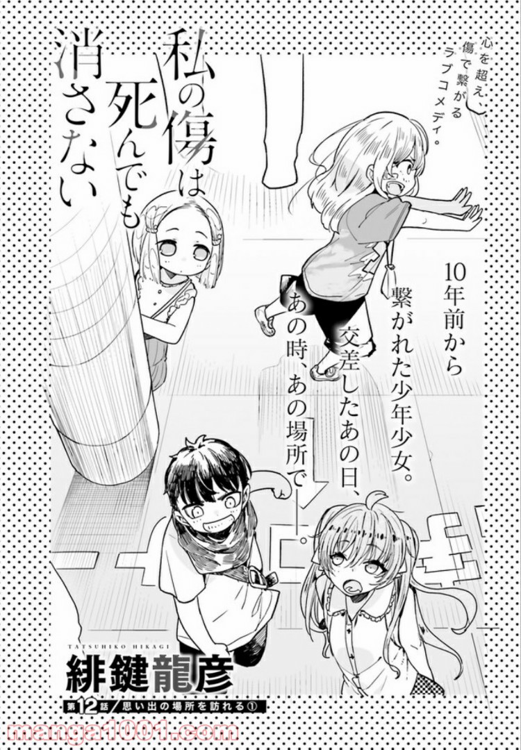 私の傷は死んでも消さない 第12.1話 - Trang 2