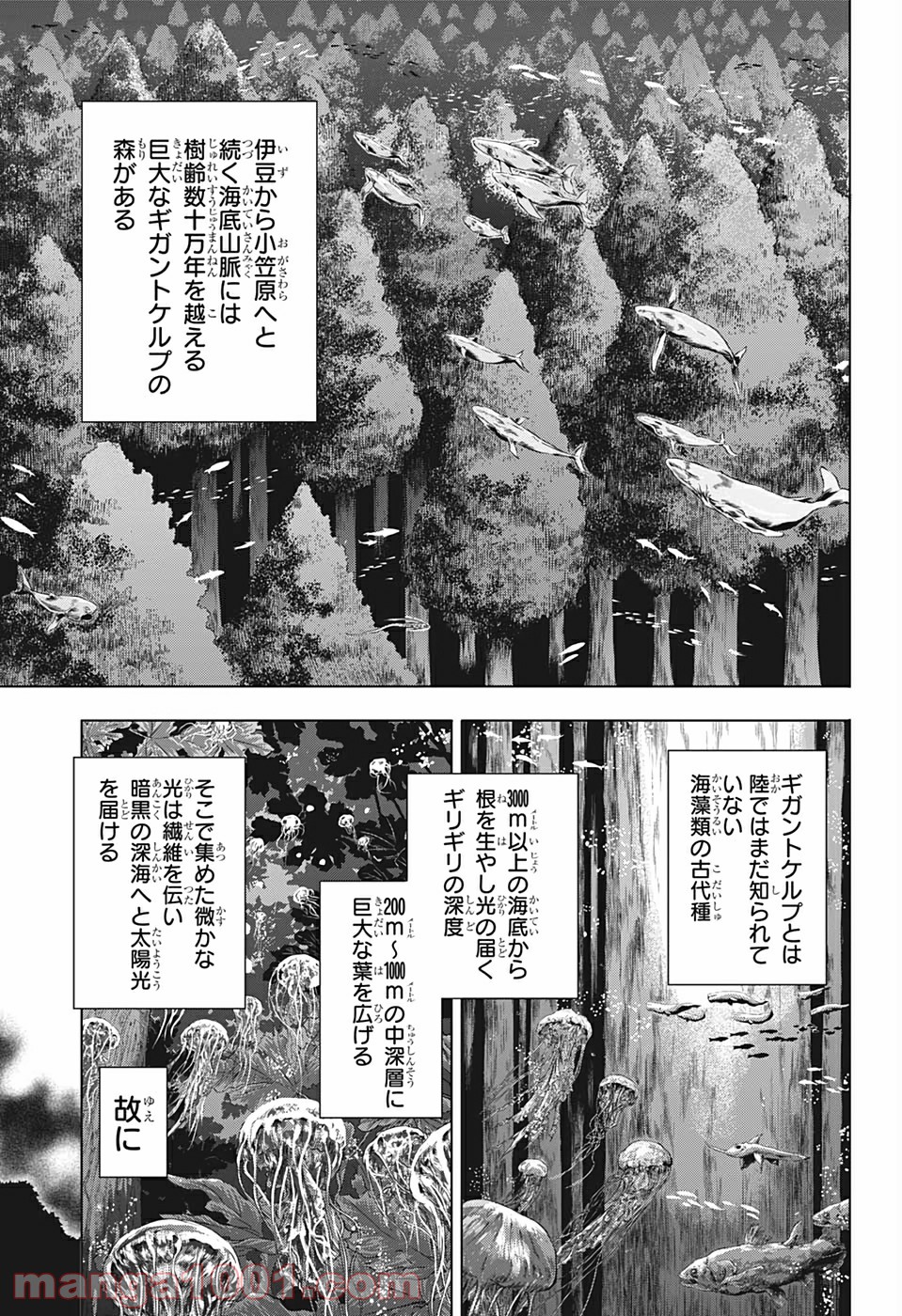 灼熱のニライカナイ - 第34話 - Page 3