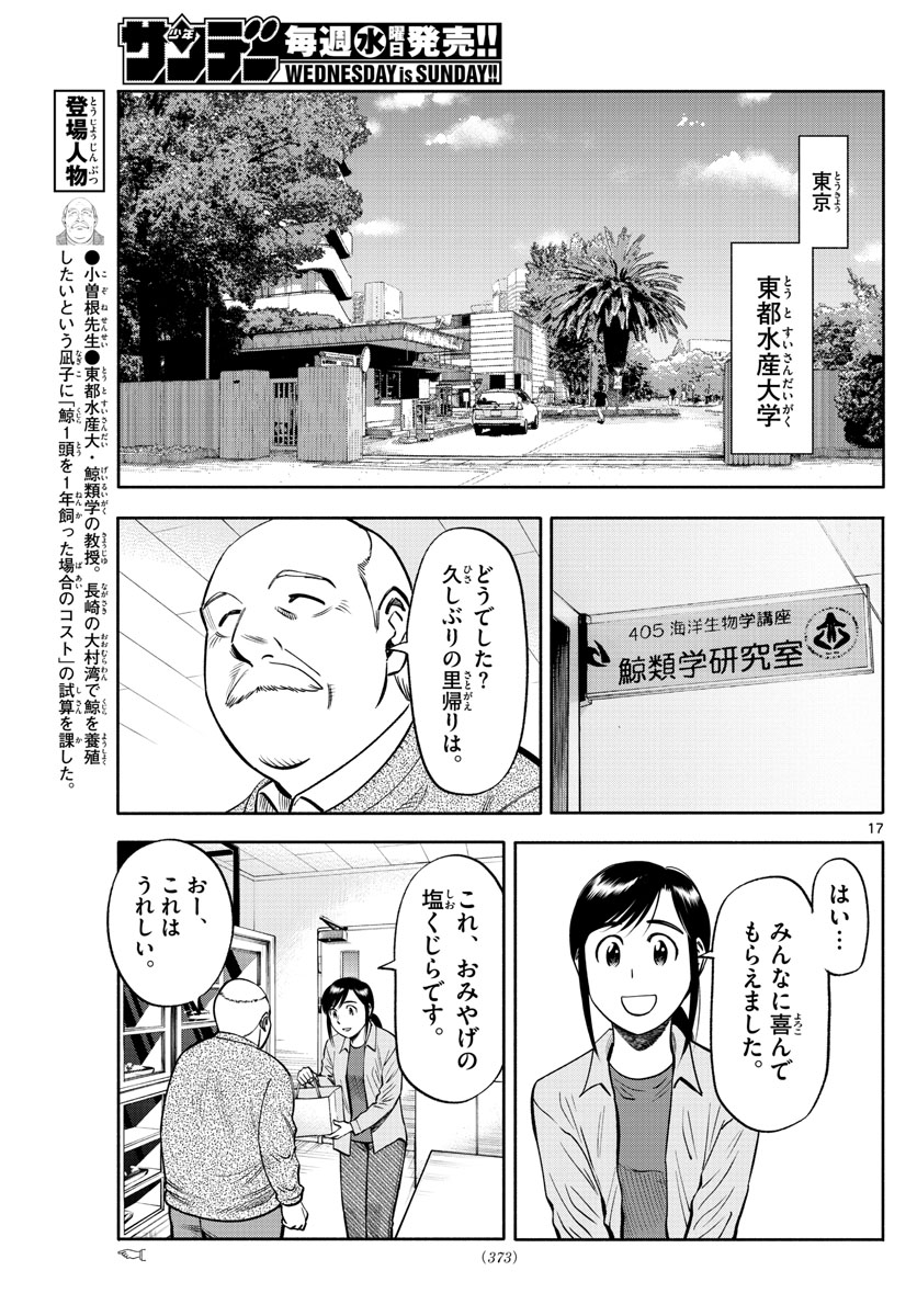 第九の波濤 - 第91話 - Page 17