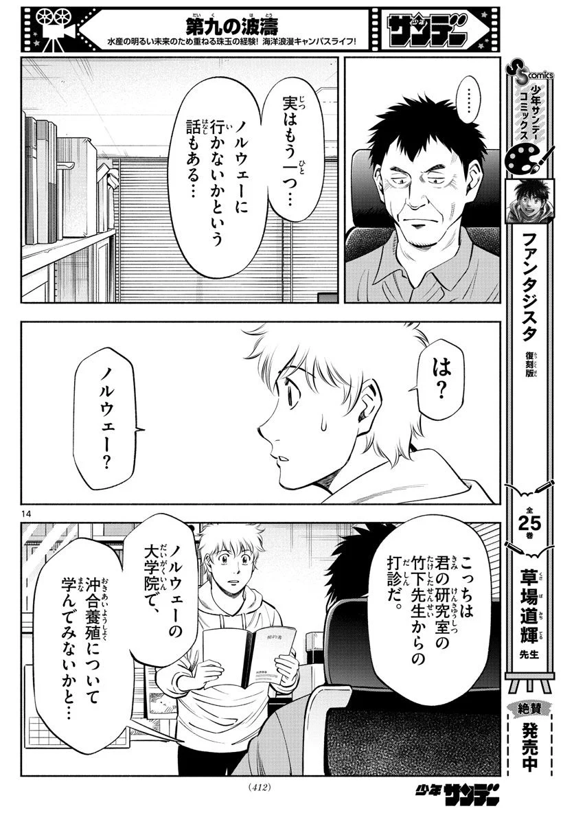 第九の波濤 - 第235話 - Page 14