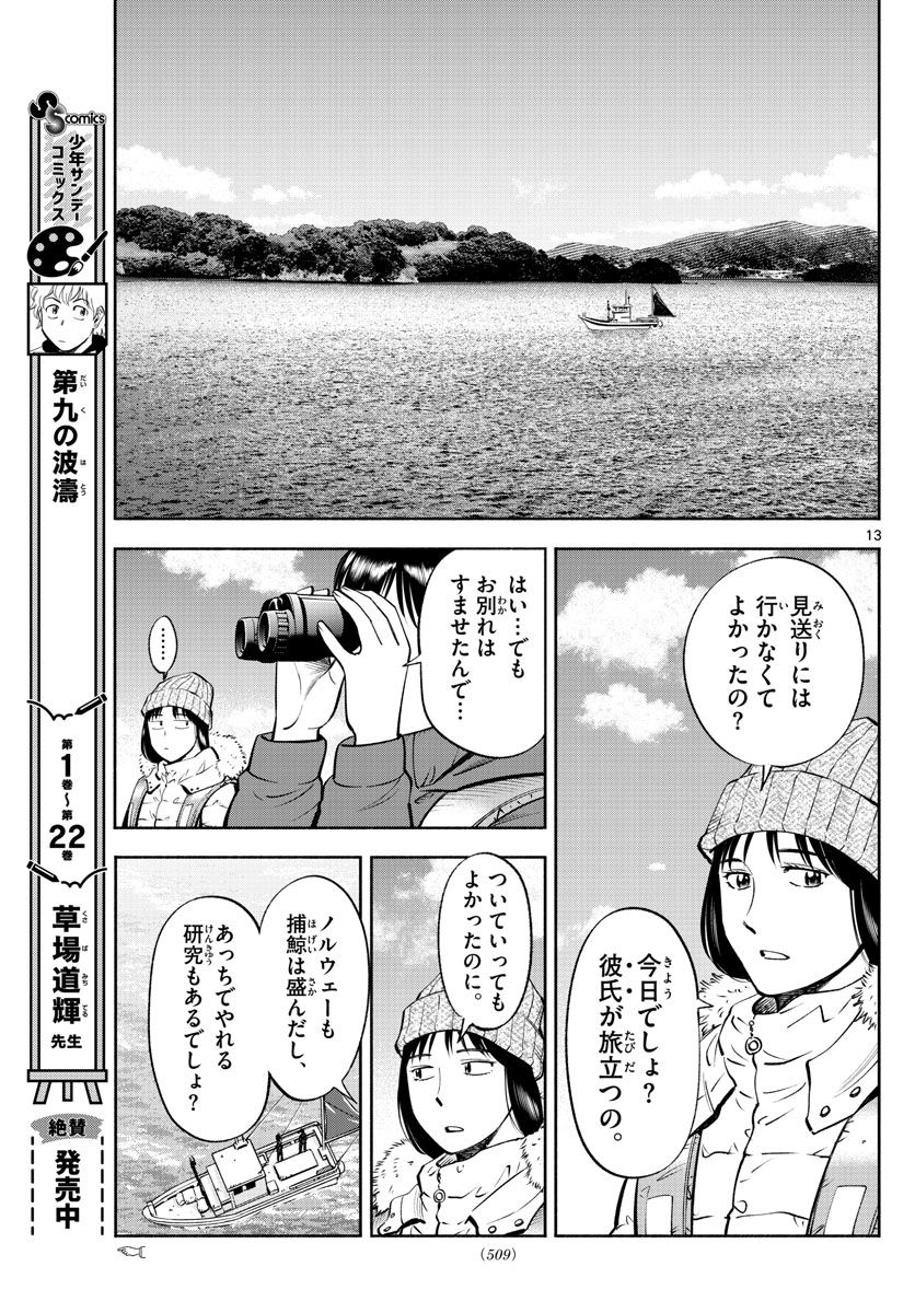 第九の波濤 - 第237話 - Page 13