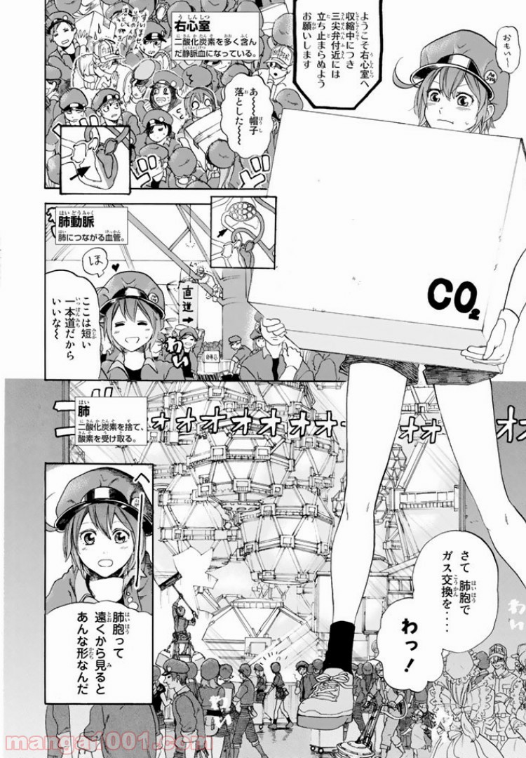 はたらく細胞 - 第10話 - Page 13