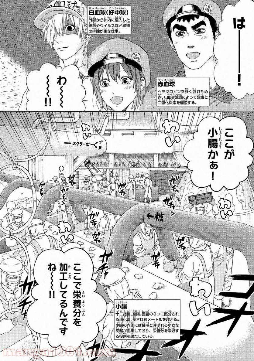 はたらく細胞 - 第19話 - Page 3