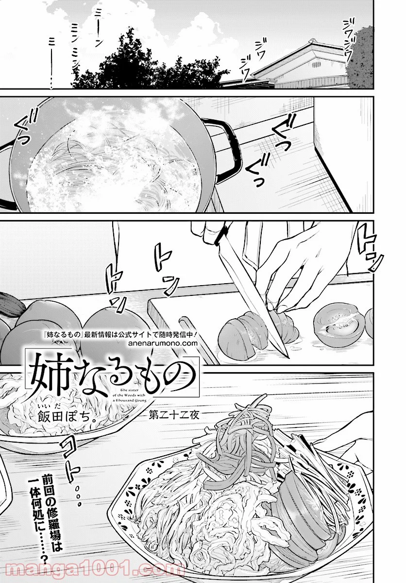 姉なるもの 第22話 - Trang 1