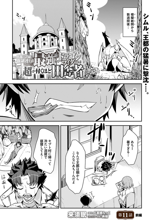 王都の学園に強制連行された最強のドラゴンライダーは超が付くほど田舎者 第11.1話 - Trang 1