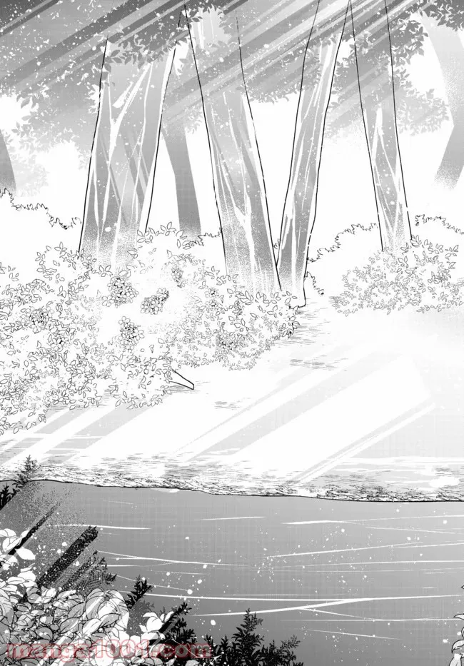 美少女になったけど、ネトゲ廃人やってます。 第11.2話 - Trang 4