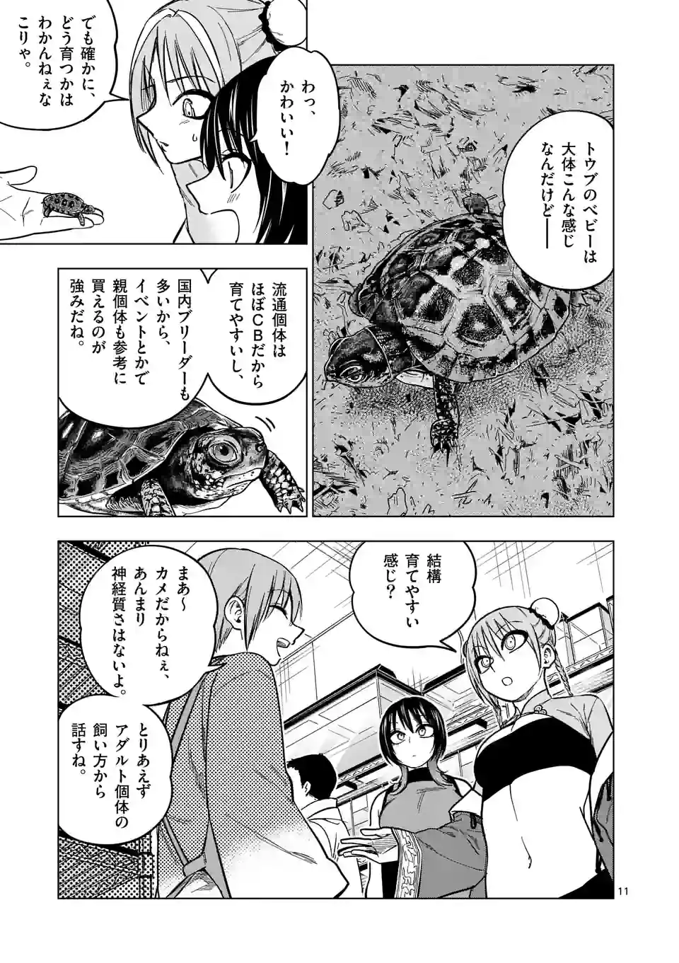 秘密のレプタイルズ - 第204話 - Page 11