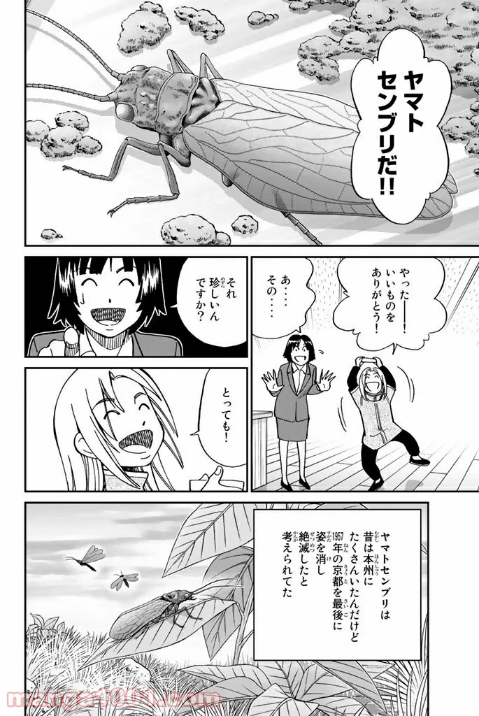 C.M.B.　森羅博物館の事件目録 - 第119話 - Page 24