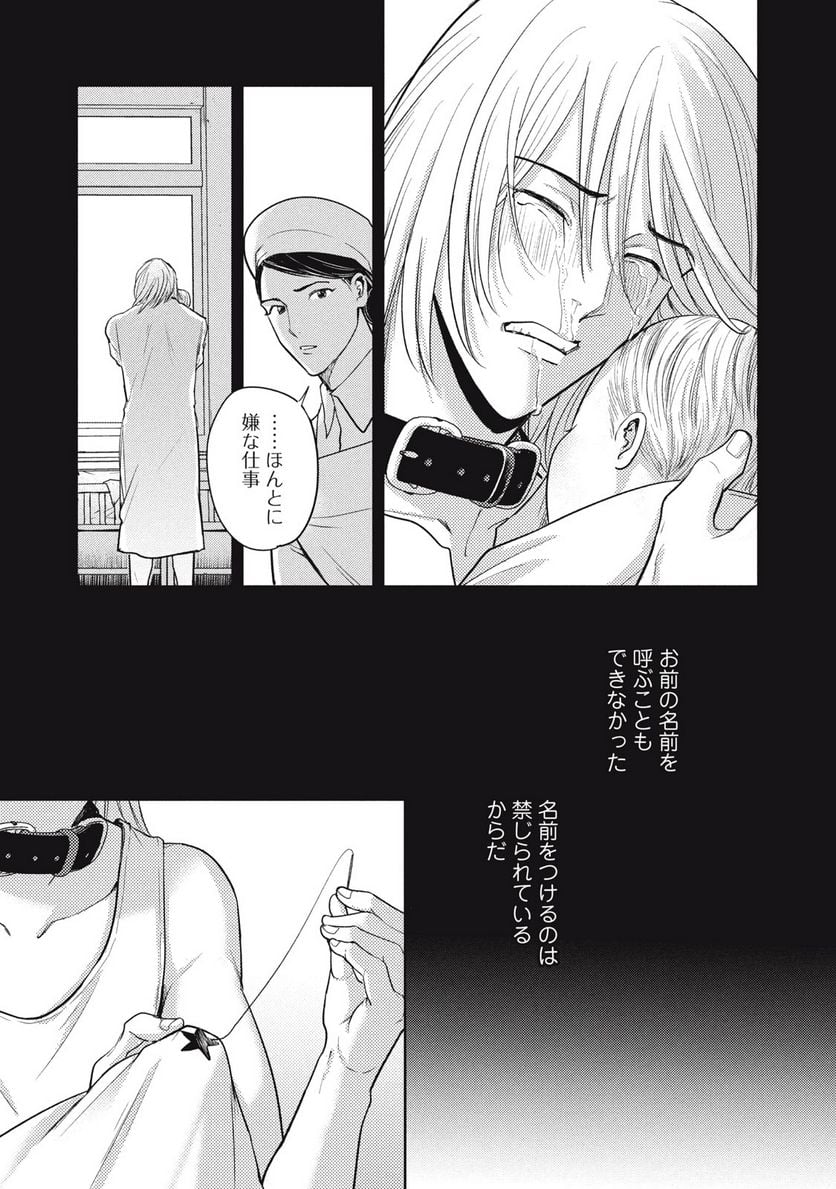 オメガ・メガエラ 第33.1話 - Trang 13