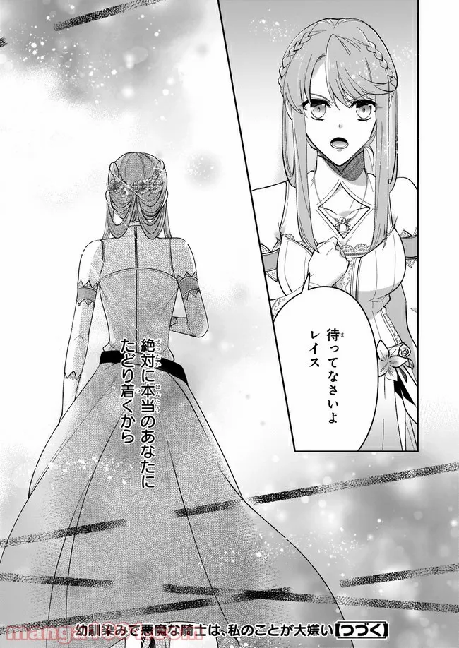 幼馴染みで悪魔な騎士は、私のことが大嫌い 第6.3話 - Trang 6