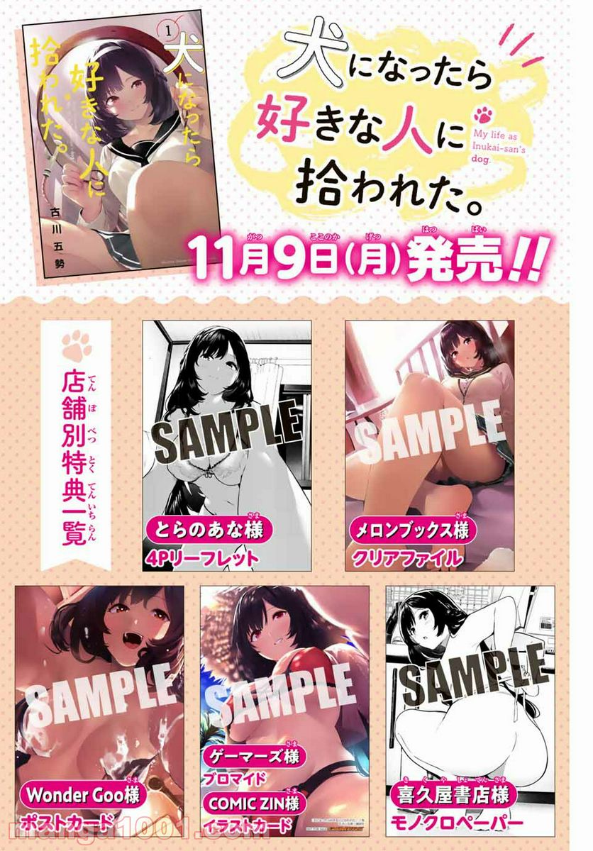 犬になったら好きな人に拾われた。 第9.5話 - Trang 3