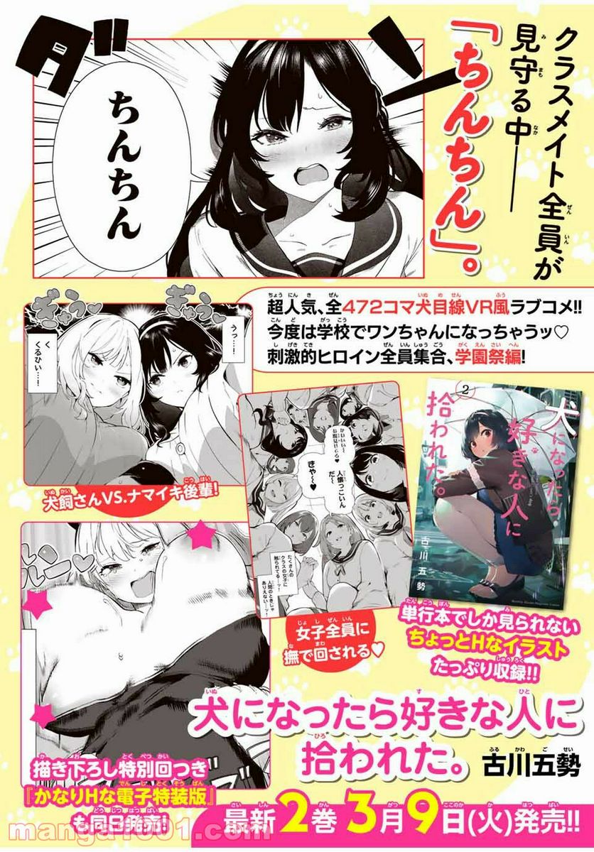 犬になったら好きな人に拾われた。 第17話 - Trang 1