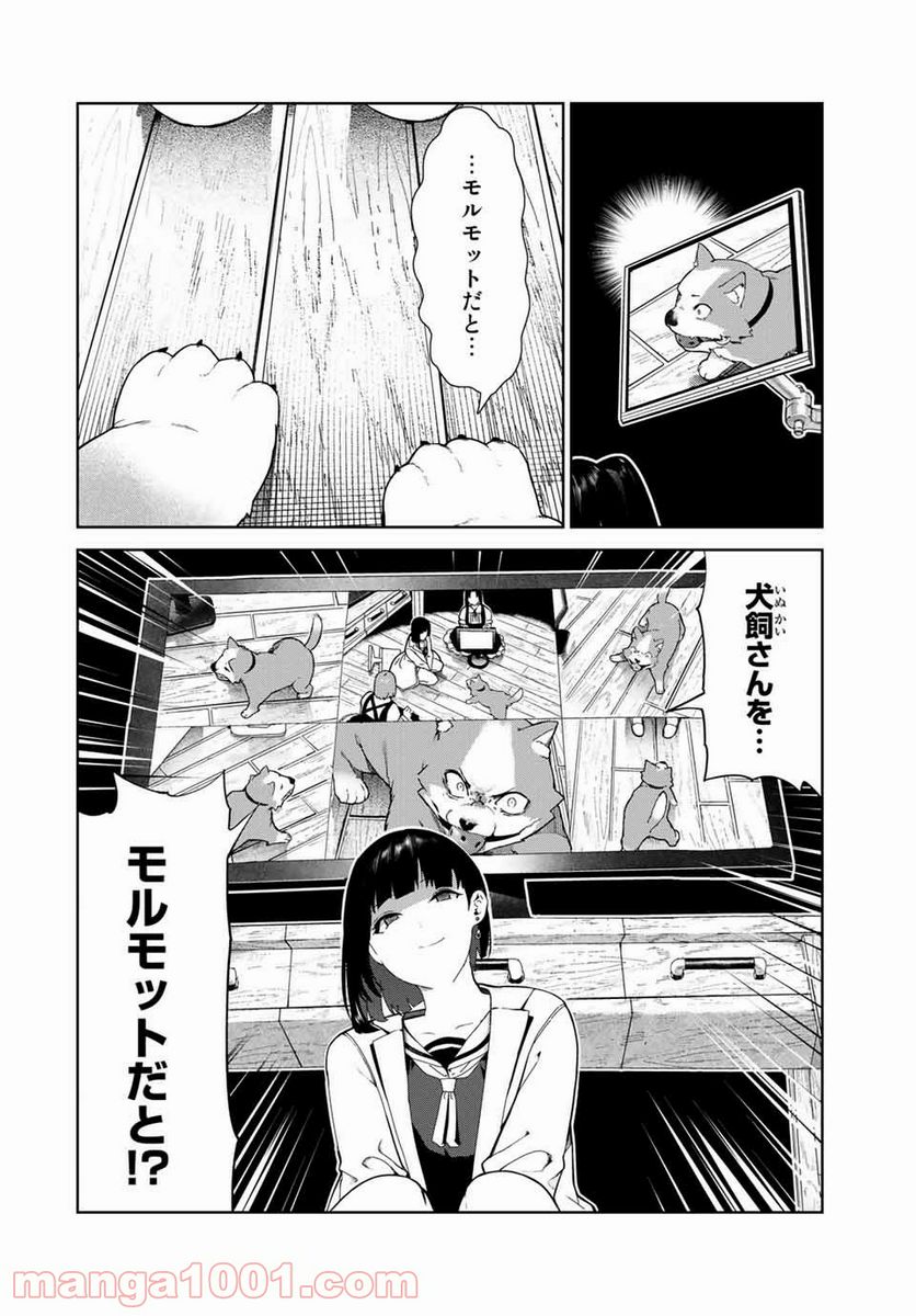 犬になったら好きな人に拾われた。 第17話 - Trang 11