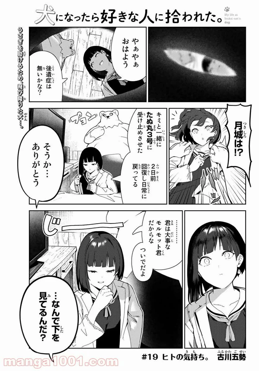 犬になったら好きな人に拾われた。 - 第19話 - Page 1