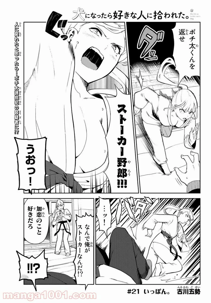 犬になったら好きな人に拾われた。 - 第21話 - Page 1