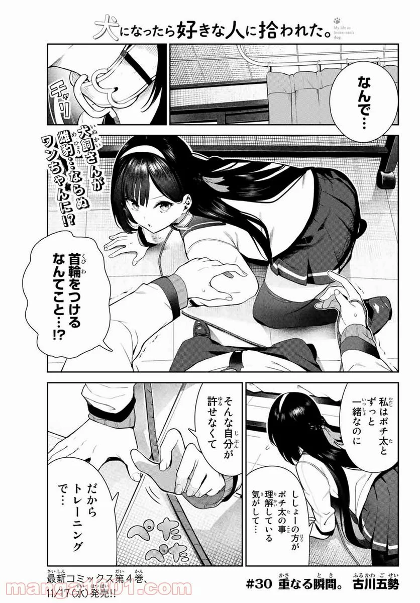 犬になったら好きな人に拾われた。 第30話 - Trang 1