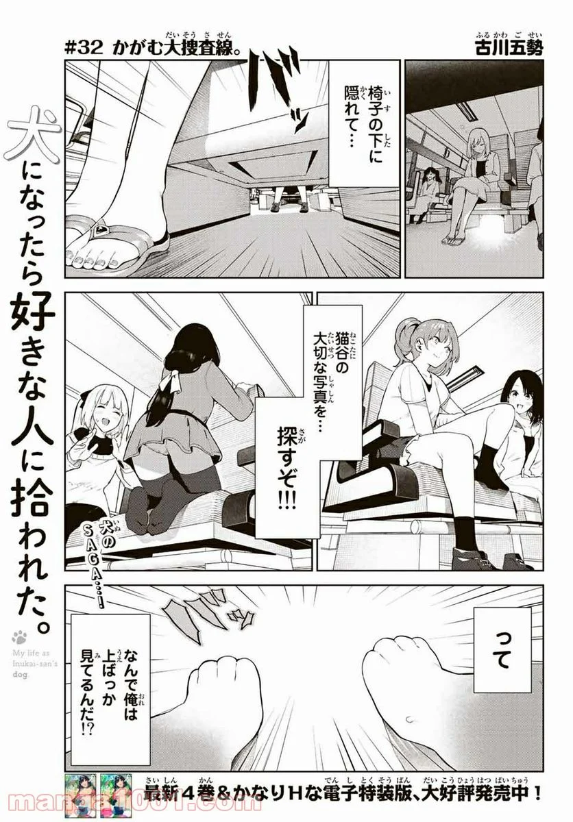 犬になったら好きな人に拾われた。 第32話 - Trang 1
