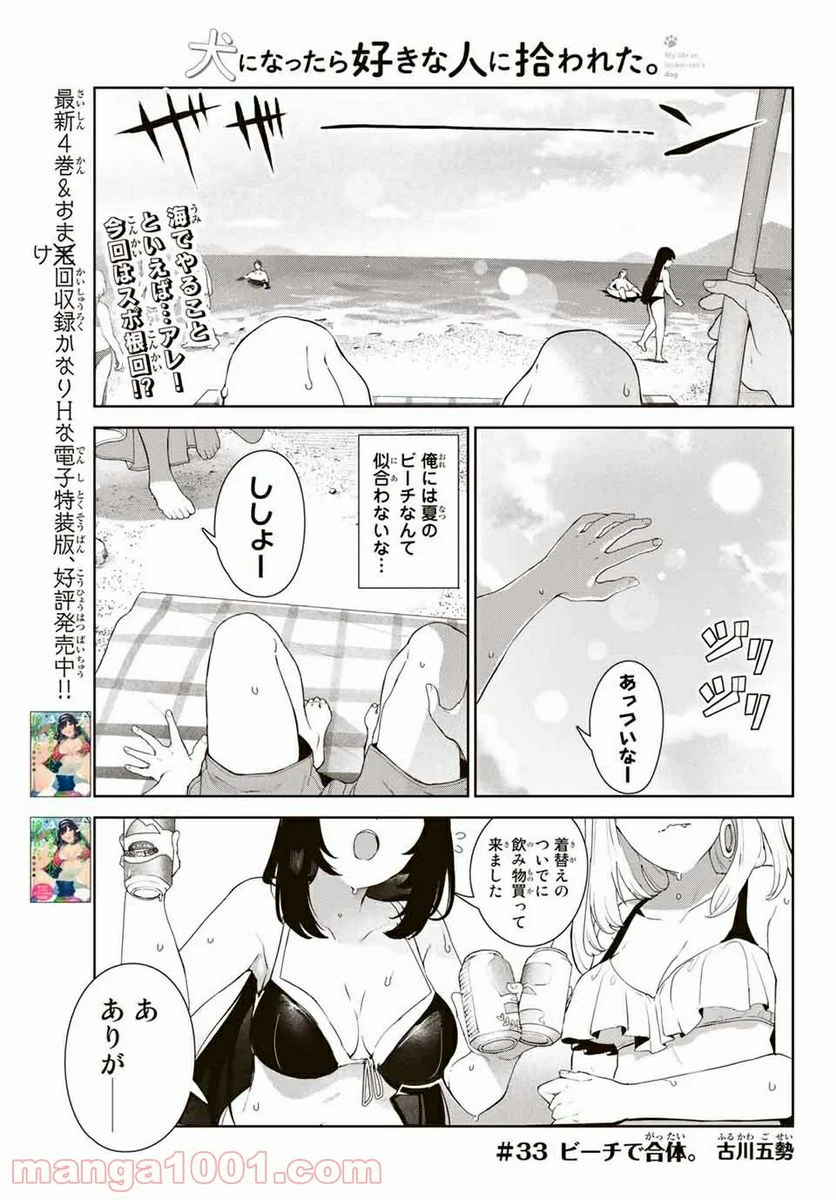 犬になったら好きな人に拾われた。 第33話 - Trang 1