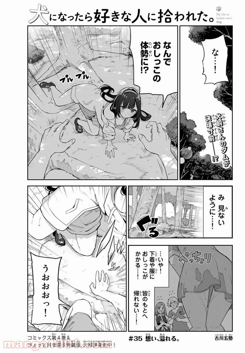 犬になったら好きな人に拾われた。 第35話 - Trang 1