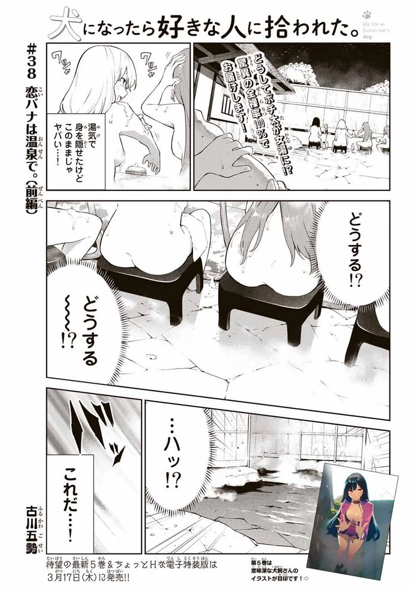 犬になったら好きな人に拾われた。 第38.1話 - Trang 1