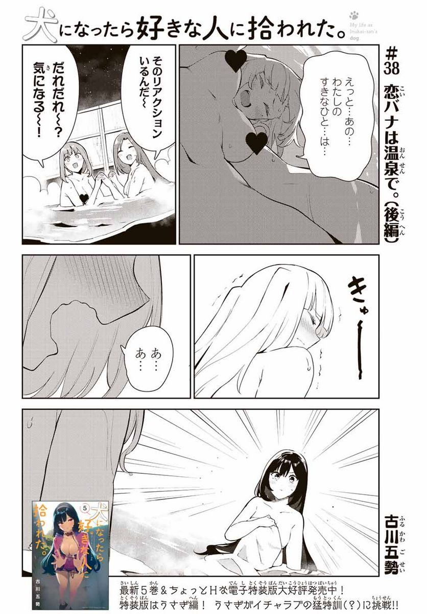 犬になったら好きな人に拾われた。 第38.2話 - Trang 1