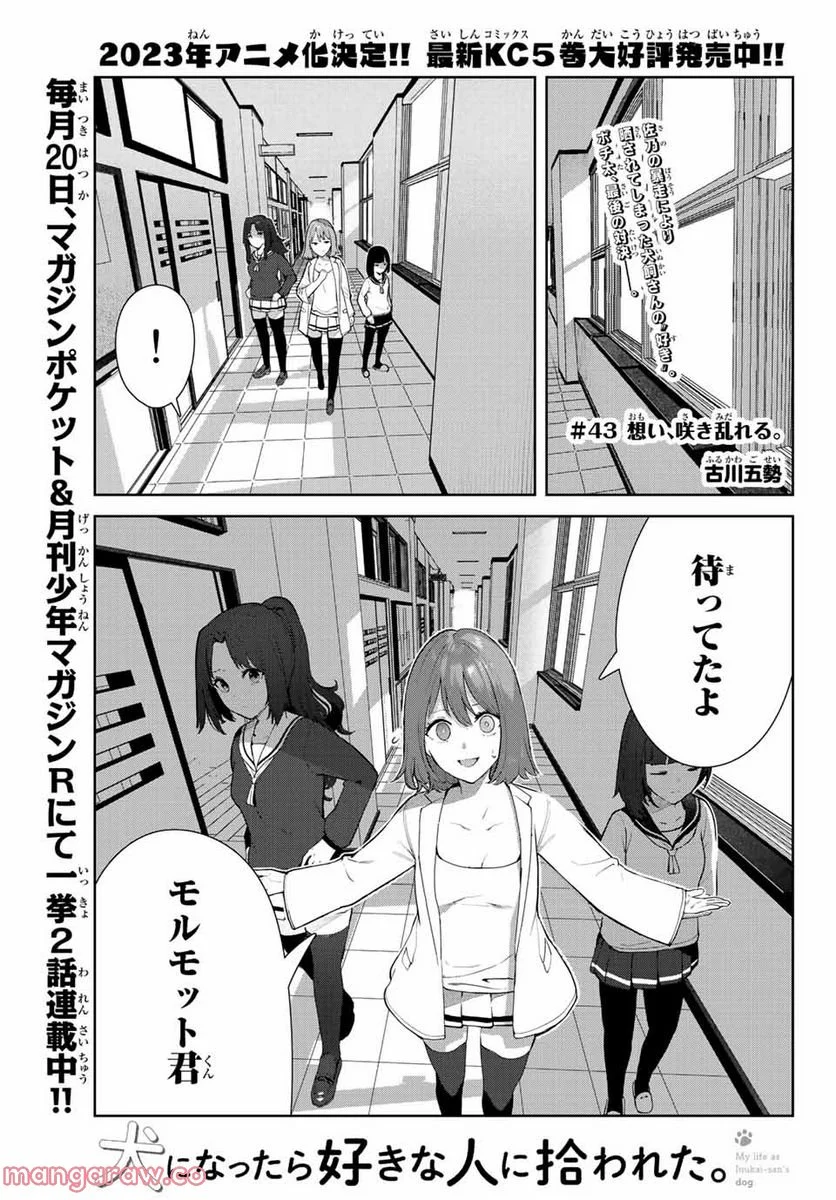犬になったら好きな人に拾われた。 第43話 - Trang 2