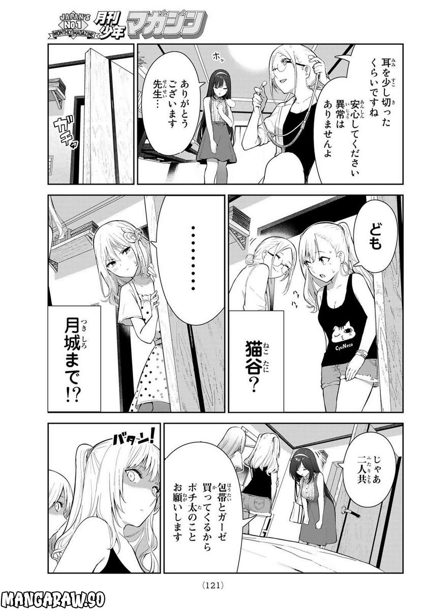犬になったら好きな人に拾われた。 第48話 - Trang 5