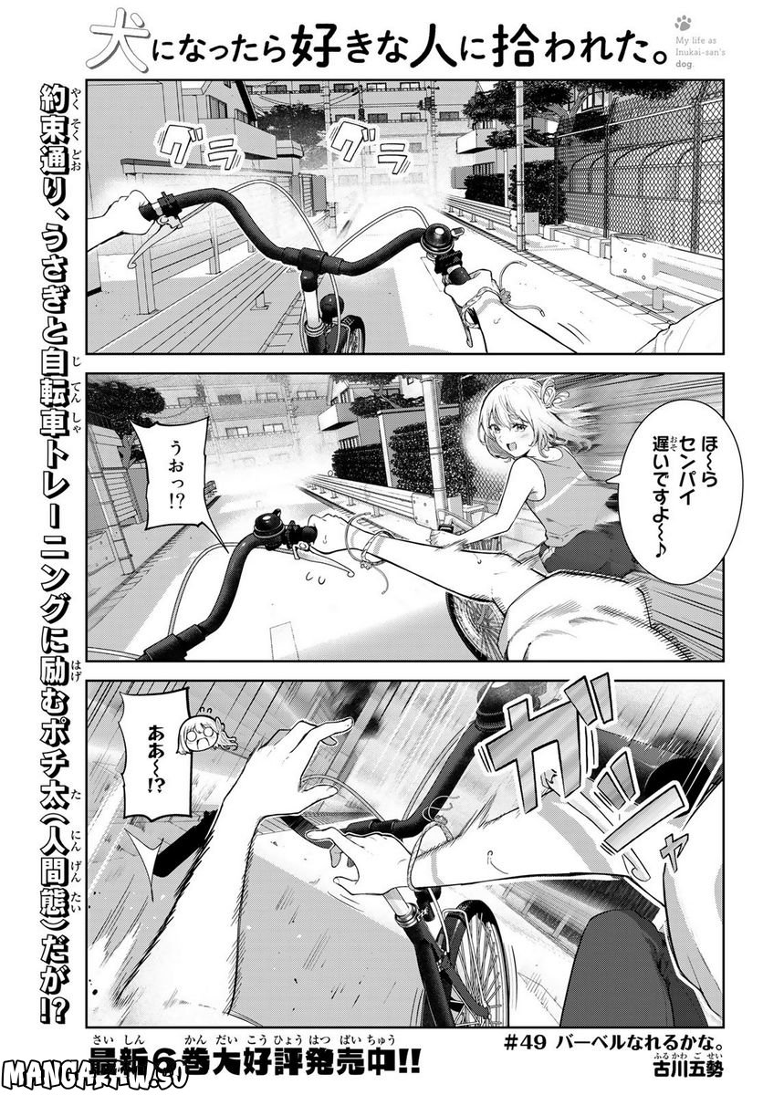 犬になったら好きな人に拾われた。 第49話 - Trang 1