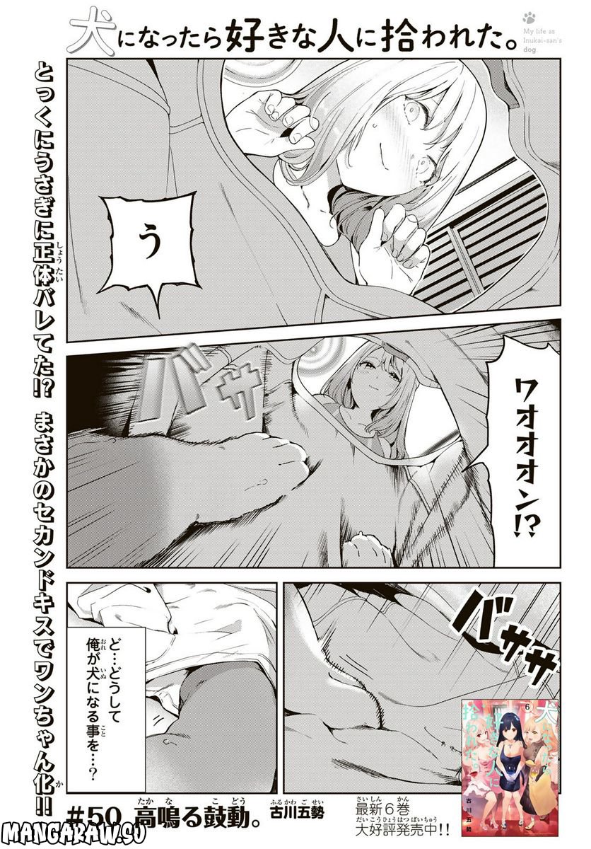 犬になったら好きな人に拾われた。 第50話 - Trang 1
