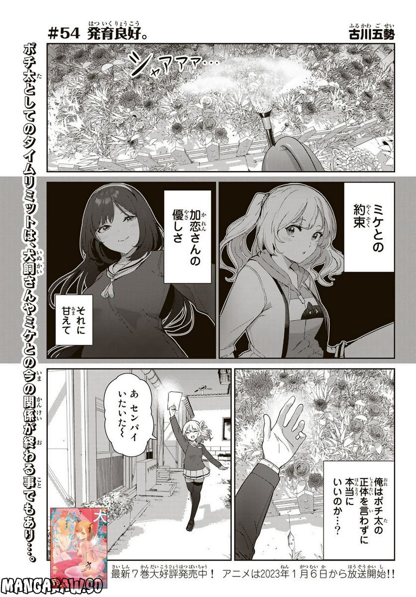 犬になったら好きな人に拾われた。 第54話 - Trang 1