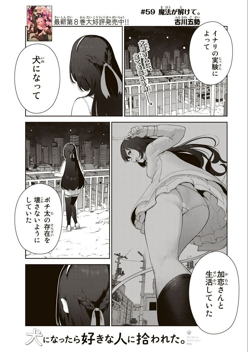 犬になったら好きな人に拾われた。 - 第59話 - Page 1