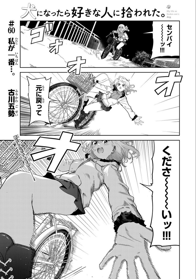 犬になったら好きな人に拾われた。 第60話 - Trang 1