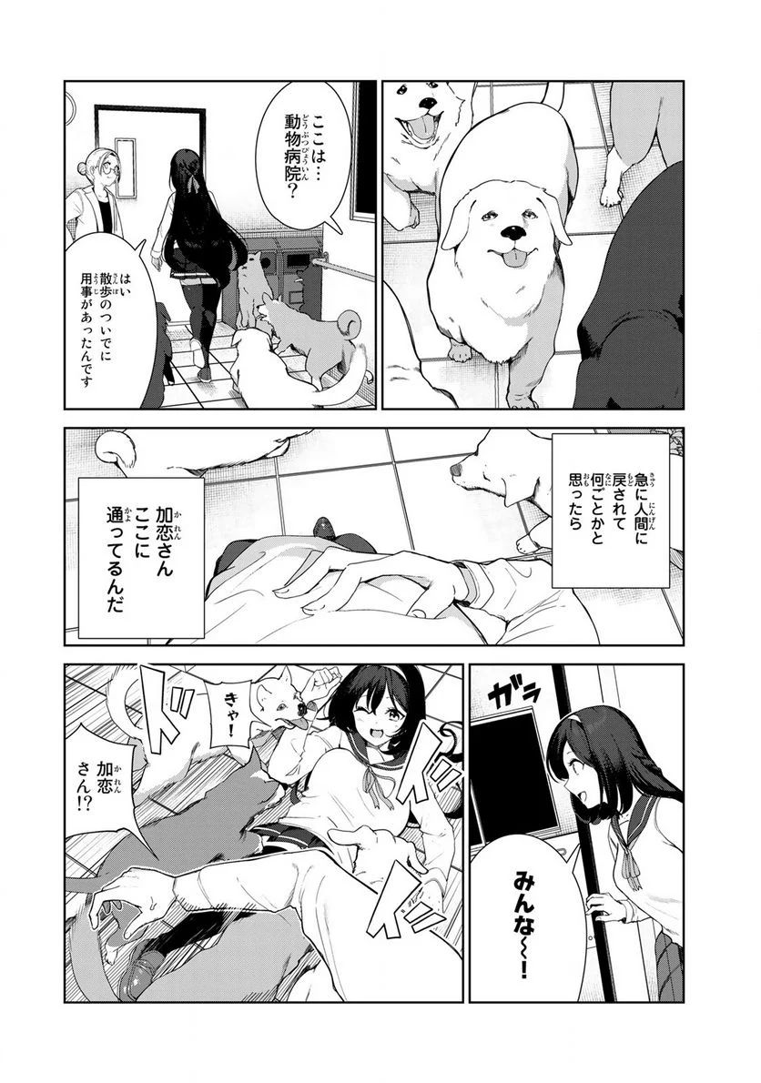 犬になったら好きな人に拾われた。 第62話 - Trang 10