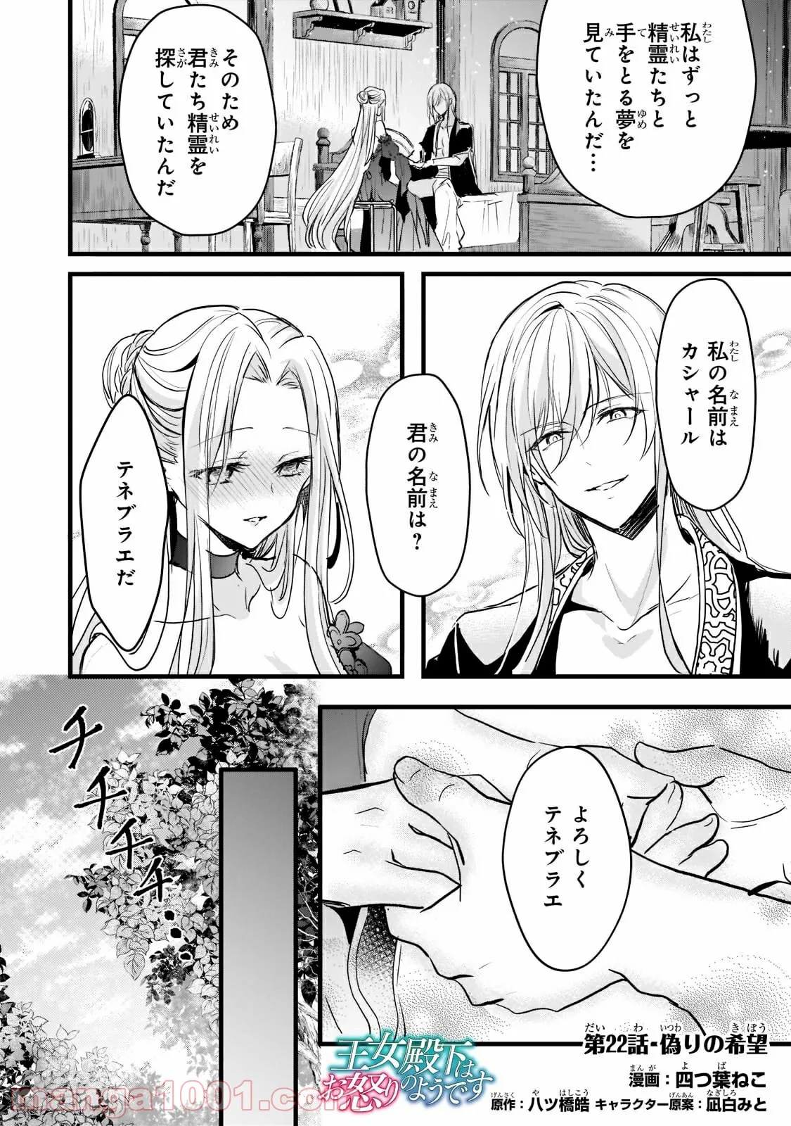 王女殿下はお怒りのようです 第22.1話 - Trang 1