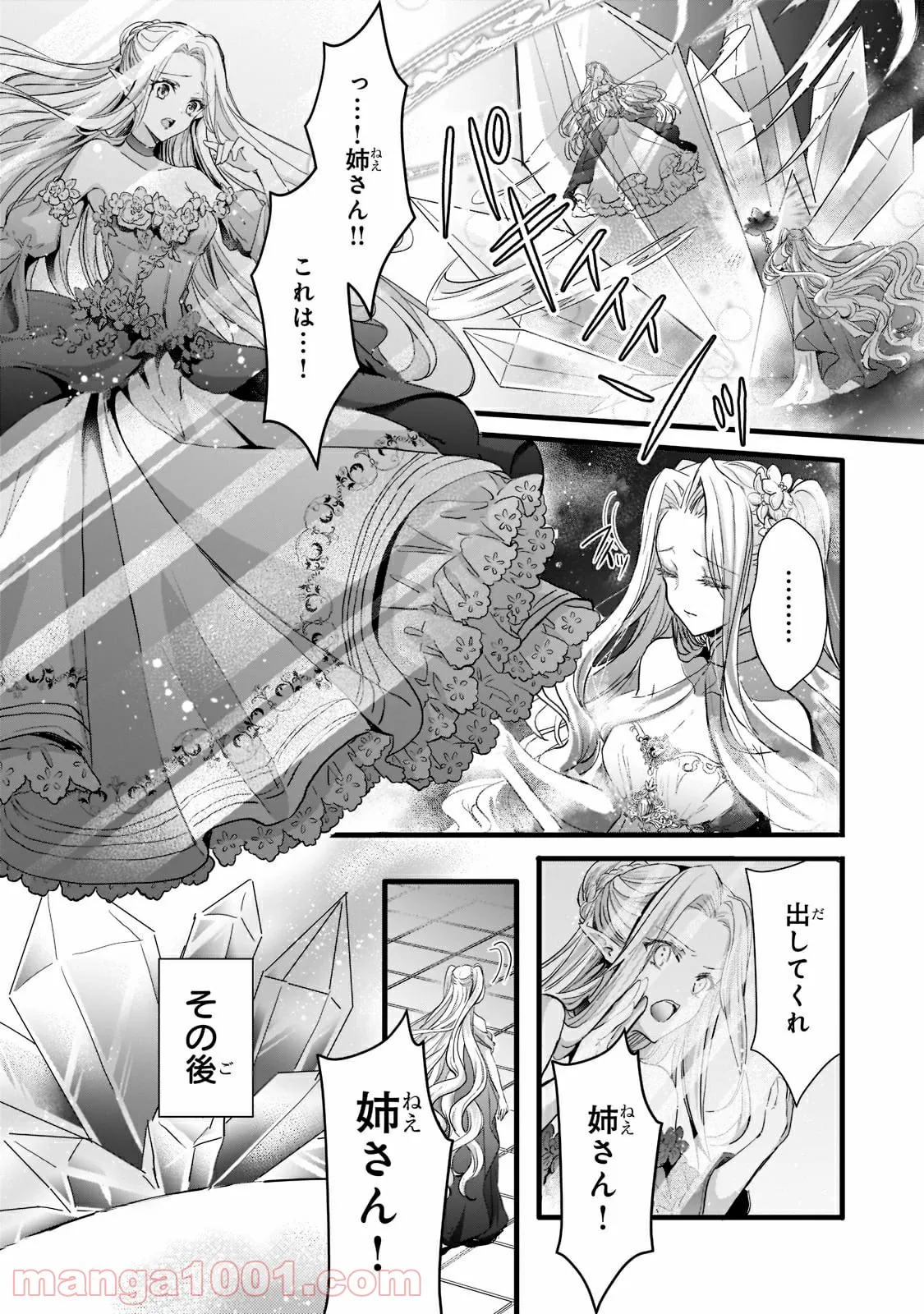 王女殿下はお怒りのようです 第22.2話 - Trang 1
