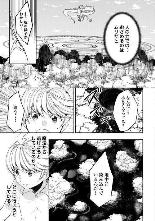 転生しちゃったよ（いや、ごめん） - 第87話 - Page 17