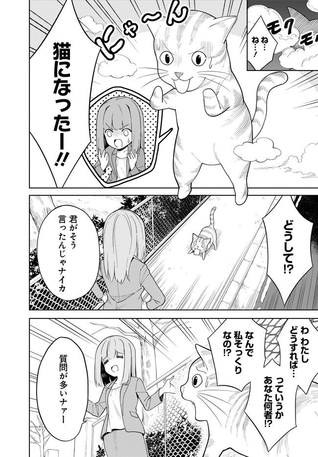 波原さんはぶちまけたい！ 第17話 - Trang 4