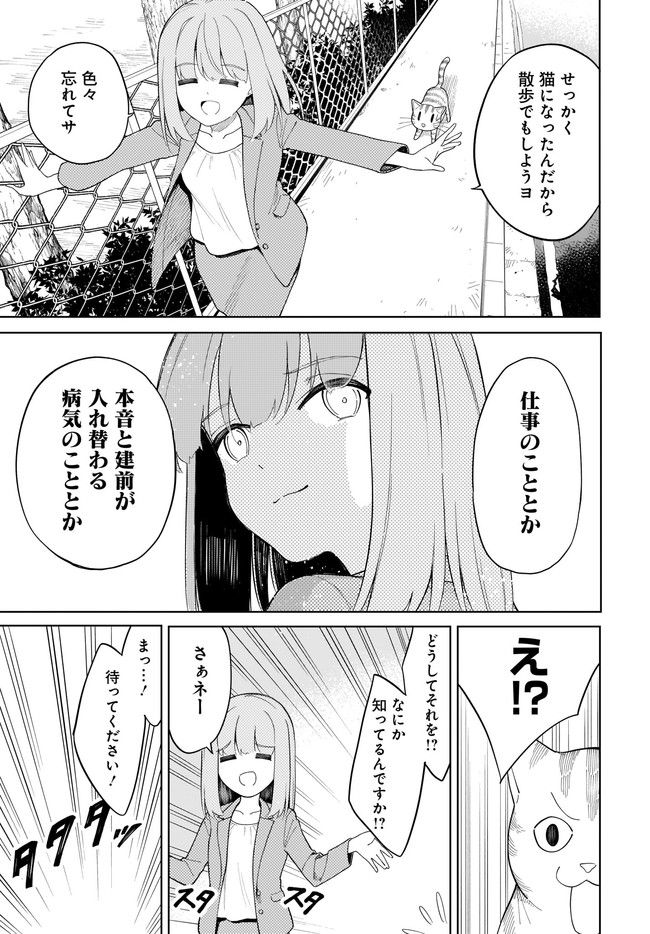 波原さんはぶちまけたい！ 第17話 - Trang 5