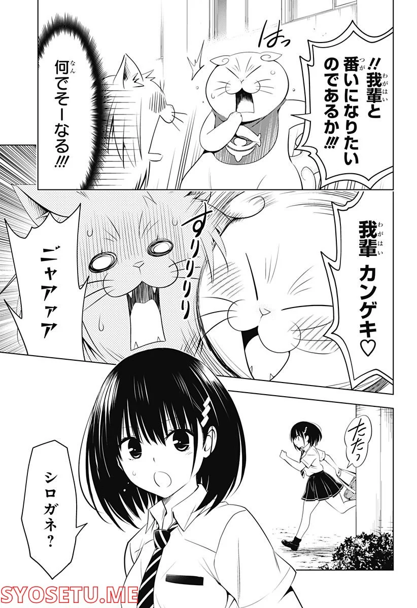 あやかしトライアングル - 第105話 - Page 10