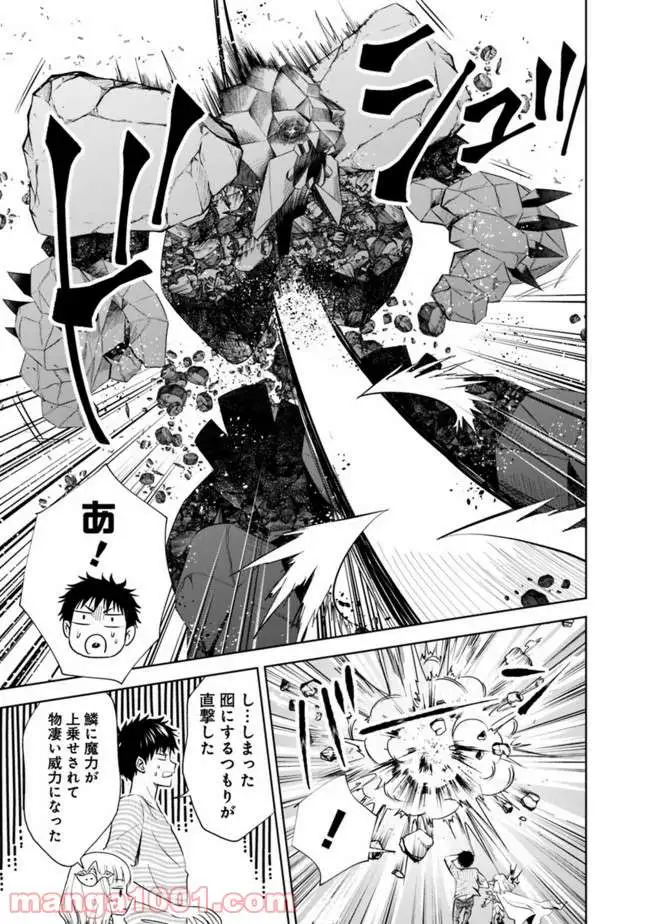 俺の家が魔力スポットだった件 ～住んでいるだけで世界最強～ 第17話 - Trang 11