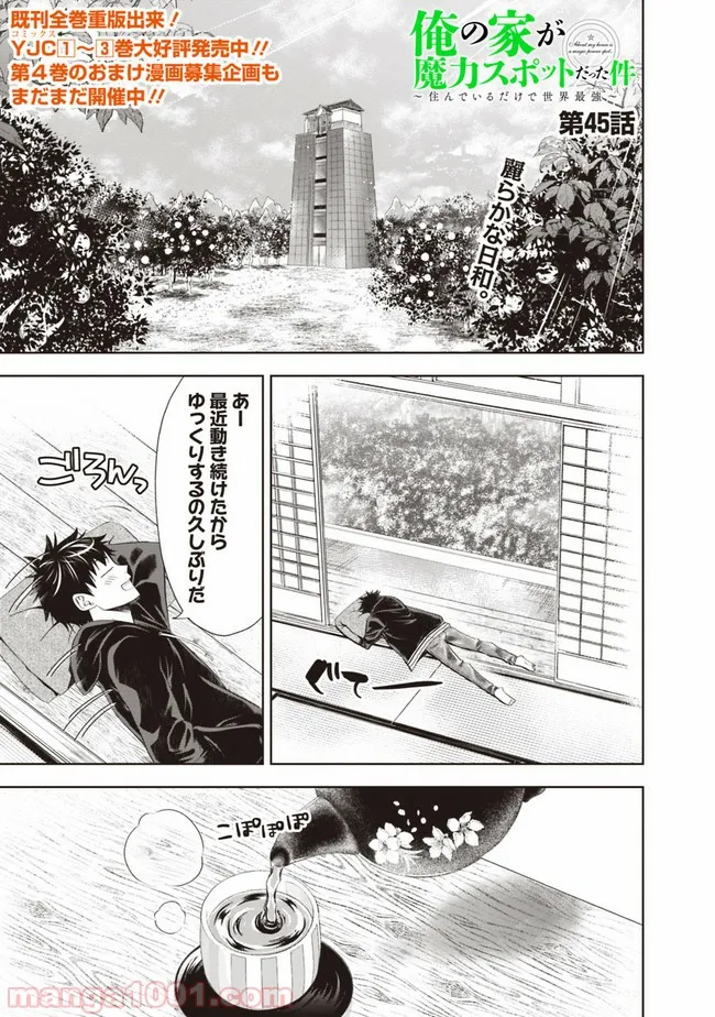 俺の家が魔力スポットだった件 ～住んでいるだけで世界最強～ 第45話 - Trang 1